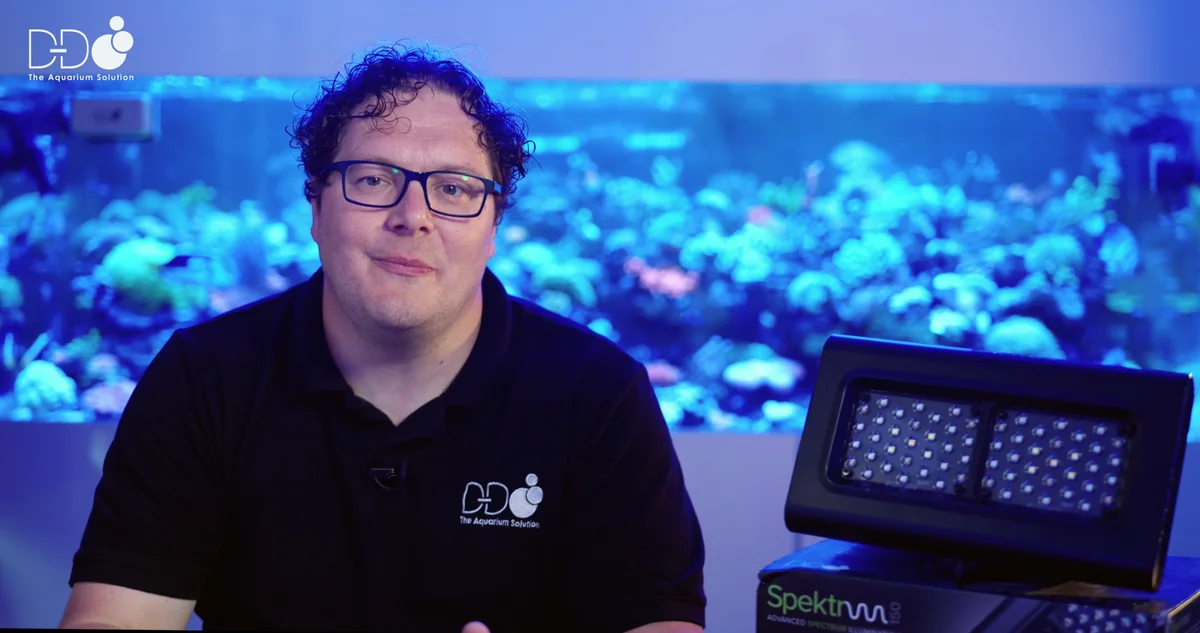 A D-D presenter introducing Spektrum aquarium lighting